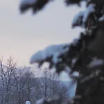Goscinne U Wojciakow *