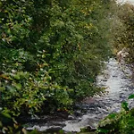Goscinne U Wojciakow בית אירוח *