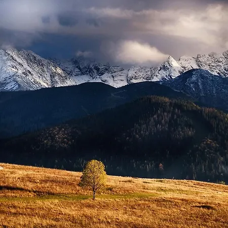 Goscinne U Wojciakow *