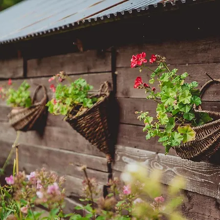 Goscinne U Wojciakow *